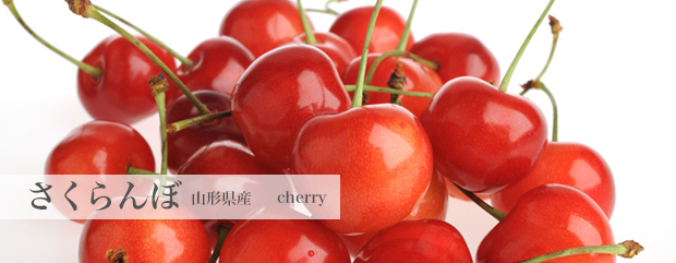 さくらんぼ cherry 山形県米沢市・ 南陽市・朝日町産