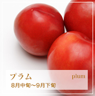 プラム plum 8月中旬〜9月下旬