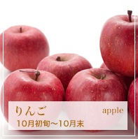 りんご apple 10月初旬〜10月末