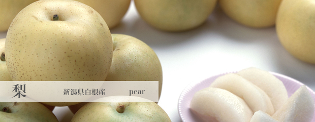 梨 pear 新潟県白根産
